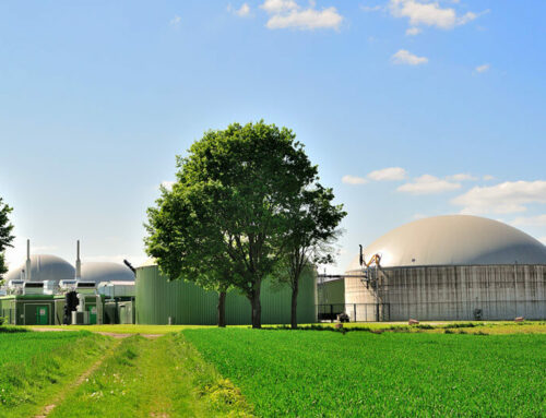 Biogas Management: What to Know About the Renewable Energy Source